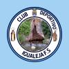 C.D. IGUALEJA F.S.