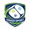 CLUB DEPORTIVO DINGO SPORT