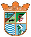 C.D. GUADALCACIN F.S.