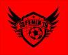 C.D. FENIX 19
