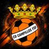 CLUB DEPORTIVO CAMPILLOS FUTBOL SALA FEMENINO